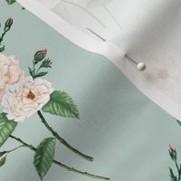 Roses Soft Peach Pale Blue Grey