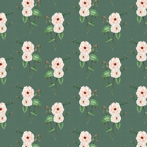 Roses Soft Peach Vintage Green 2