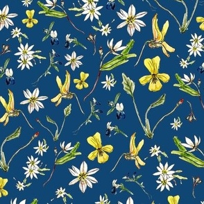 Rachels Wildflowers Blue