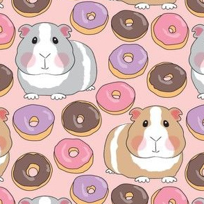 guinea pigs with pink purple and chocolate donuts