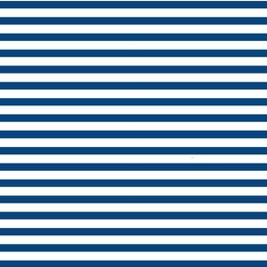 Blue and White Stripe