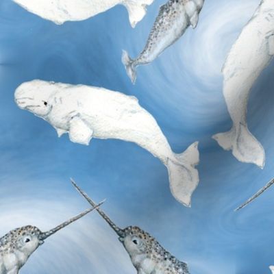 AL Narwhals And Beluga Whales