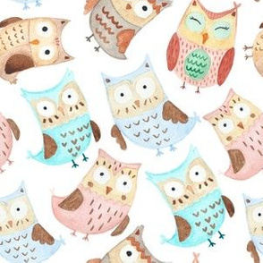 Owls watercolor animals