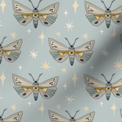 Moths - Small - Blue