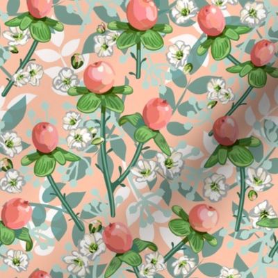Hypericum Berries | Soft Peach