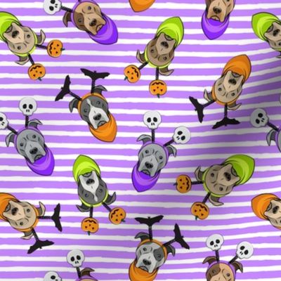 (2.25" scale) Halloween Pitties - Pit Bull Terrier - purple stripes  - LAD19BS