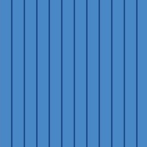 Navy Stripe on Mid Tone Blue