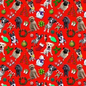 Christmas Dogs on Red