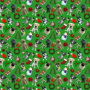 Christmas Dogs on Green