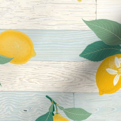 Beach House Lemons