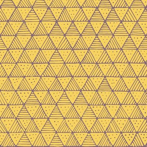 Yellow Purple Line Triangles