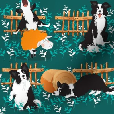 Normal scale • Border Collie playing with sheep 