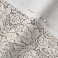 Succulent Rosette Lacy Pattern In Greys