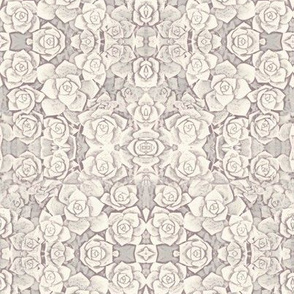 Succulent Rosette Lacy Pattern In Greys