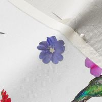 Hummingbirds of T&T - Tea towel -  white