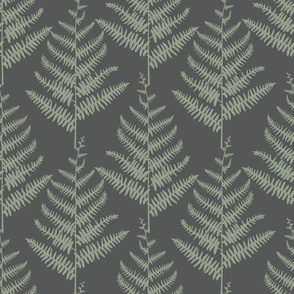 Ferns on Dark Green Background