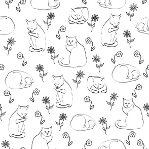 Cats and Flowers on White