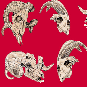 Red Animal skulls