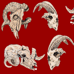 Deep Red Animal Skulls