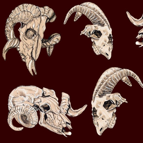 Deep Maroon Animal  Skulls