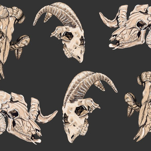 Dark Grey Animal Skulls