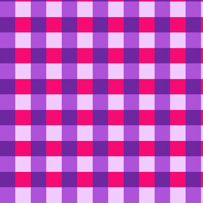 The Girlfriend Club / Red Lavender Purple Red Check / Gingham 