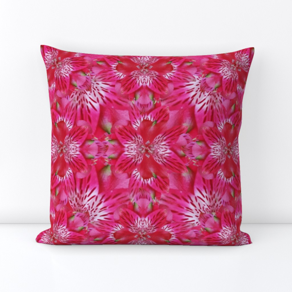 Kaleidoscope of Pink Iris Design Challenge on Hot Pink