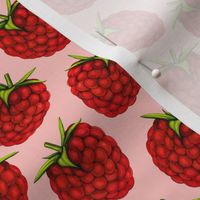 Raspberries - Pink