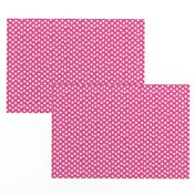 Pretty Polka Dots in Hot Pink