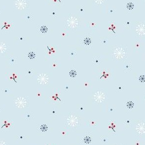 Snowflakes & berries
