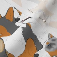 Welsh Corgi portrait pack