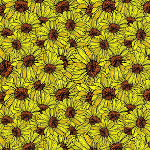  Sunflower