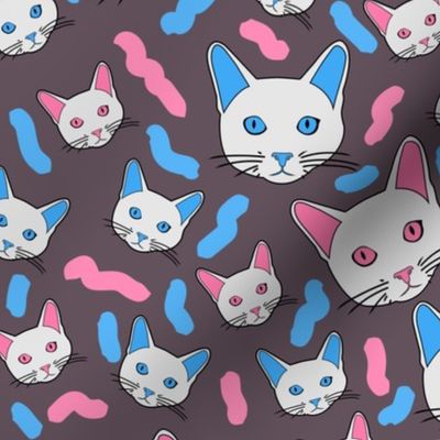 Cat pattern