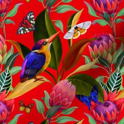 Exotic birds and butterflies among protea flowers