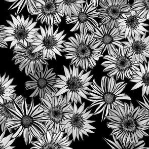 Black  and White Flowers