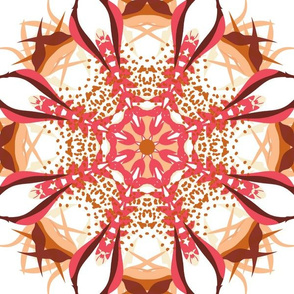 Kaleidoscope