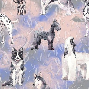 sweet dogs tuxedo Black and White on light purple pink periwinkle blue and grey watercolor FLWRHT