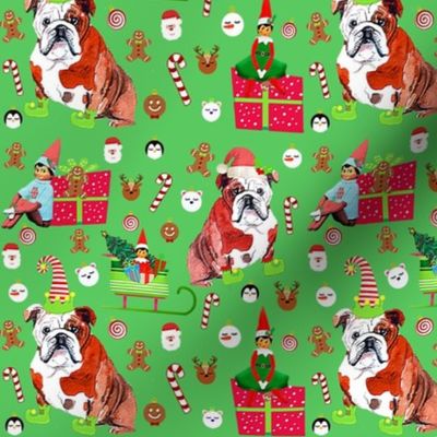 English Bulldogs & Elf on the Shelf