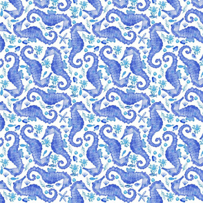 Seahorse blue and white little
