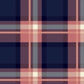 Pink and Blue Plaid V.06