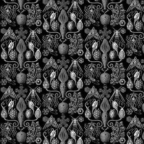 Ernst Haeckel Amphoridea Black & White