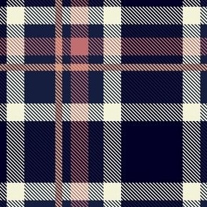 Pink and Blue Plaid V.07