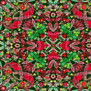 Kaleidoscope Holiday Poinsettia 