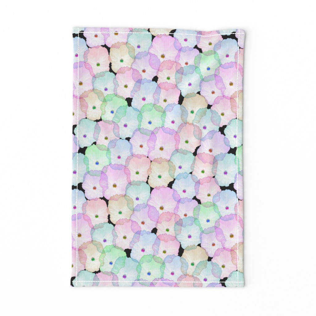 Partytime Pansies - Pastel rainbow, black 