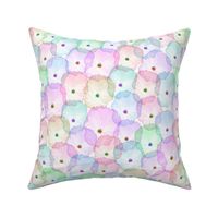 Partytime Pansies - Pastel rainbow, white 