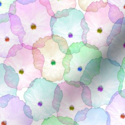 Partytime Pansies - Pastel rainbow, white 