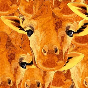 Giraffe pattern