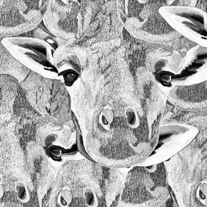 Giraffes pattern in Black and White