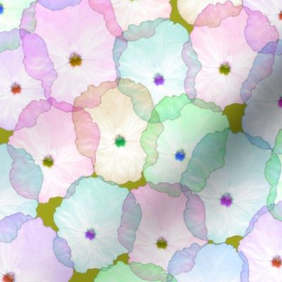 Partytime Pansies - Pastel rainbow, olive green