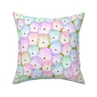 Partytime Pansies - Pastel rainbow, olive green